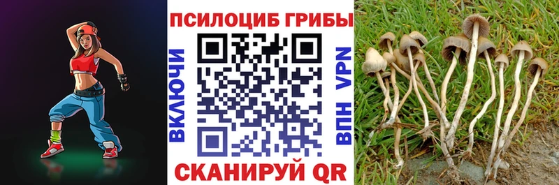 Псилоцибиновые грибы MAGIC MUSHROOMS  kraken онион  Анапа 